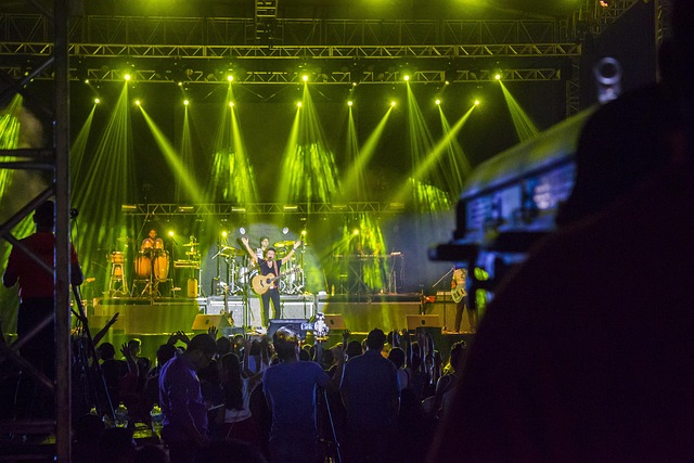 Musicians Tinnitus Treatments