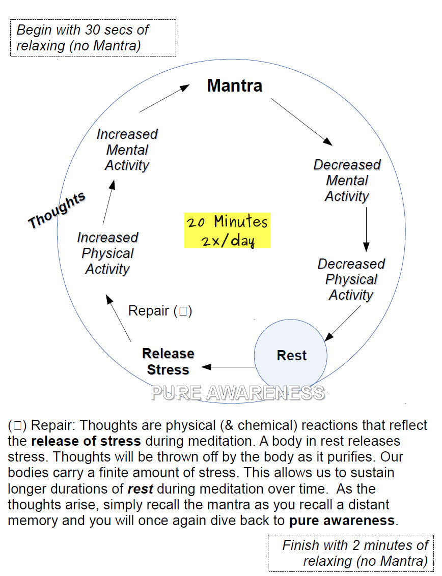 Breaking the PTSD-Tinnitus Cycle with Transcendental Meditation