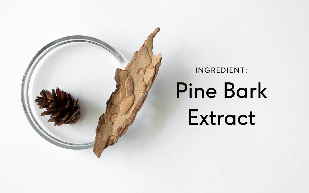 pine bark extract isn't appropriate for everyone