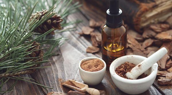 Pine Bark Extract for Tinnitus