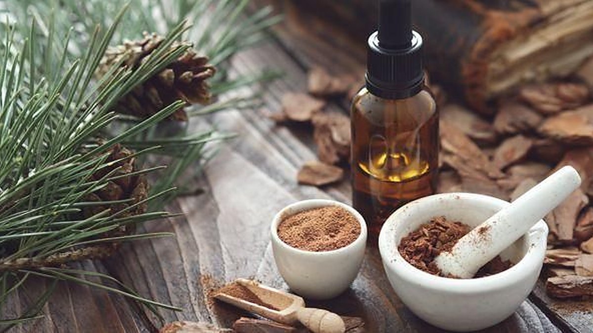 Pine Bark Extract for Tinnitus